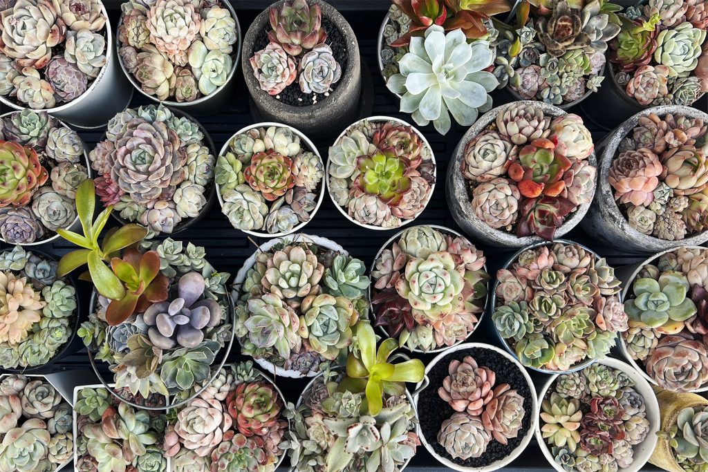 【入居者宅見学会】浜名区宮口⑤　浜松市／住宅会社／工務店／建築会社／ロージーライフ／注文住宅／リフォーム／リノベーション／SE構法登録工務店／高気密高断熱／高性能住宅／高耐震／デザイン住宅／おしゃれ／スタイリッシュ／モダン